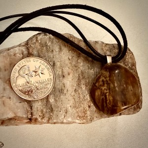 Petrified Wood Agate Pendant - 18” Double Cord Necklace